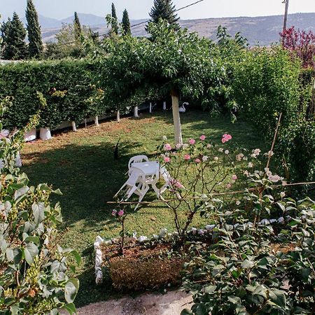 Anastasia'S Apartment Ioannina Ngoại thất bức ảnh