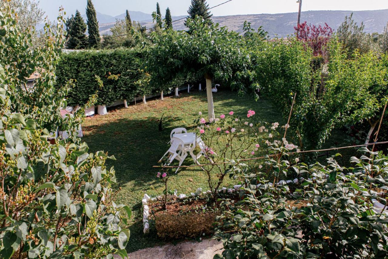 Anastasia'S Apartment Ioannina Ngoại thất bức ảnh